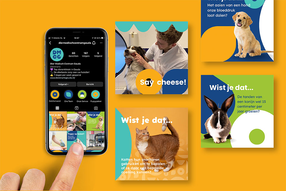 Dier Medisch Cetrum Gouda