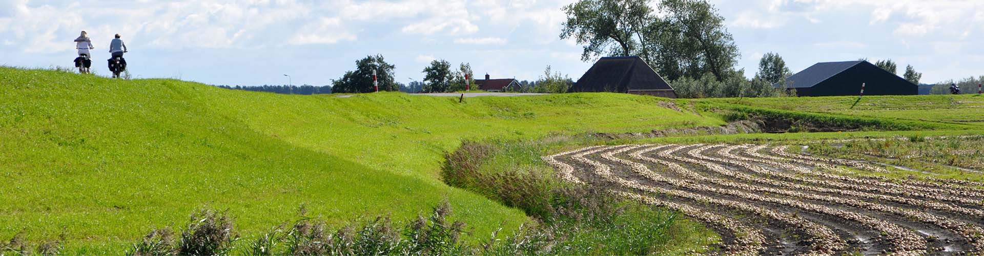 Stichting OerIJ
